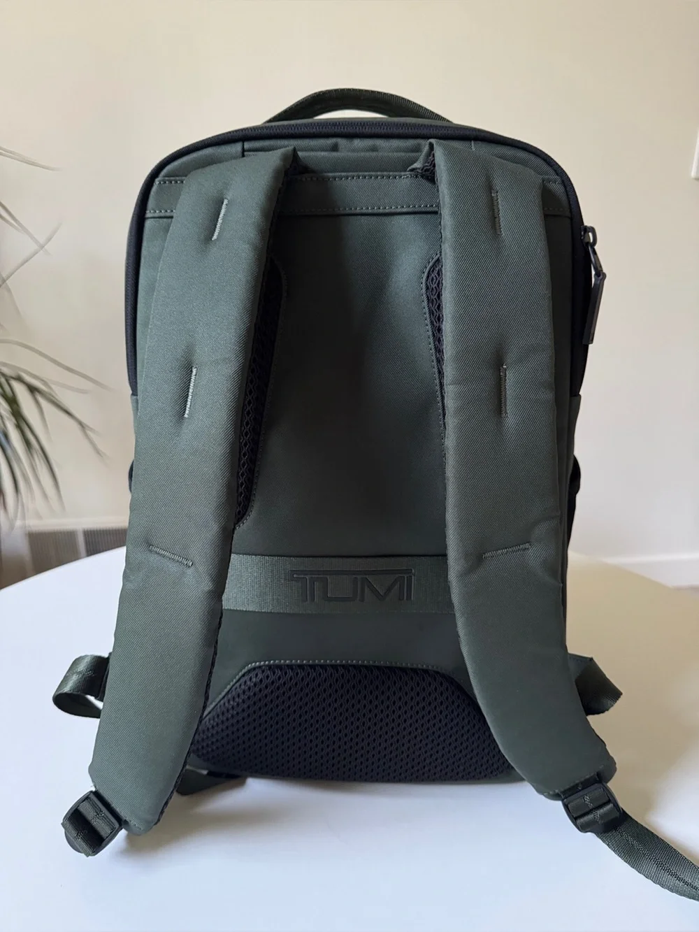 Tumi Tahoe Innsbruck Backpack, Spruce Green